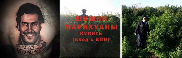 ГАЛЛЮЦИНОГЕННЫЕ ГРИБЫ Богородицк