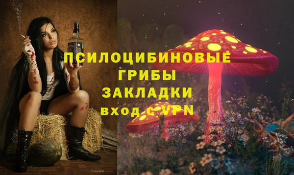 стафф Богданович