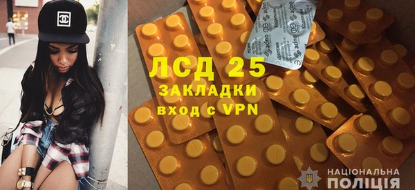 ГАЛЛЮЦИНОГЕННЫЕ ГРИБЫ Богородицк