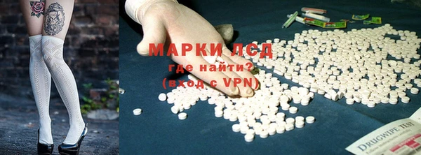 стафф Богданович