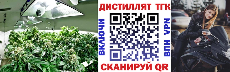 даркнет телеграм  Бийск  ТГК гашишное масло 